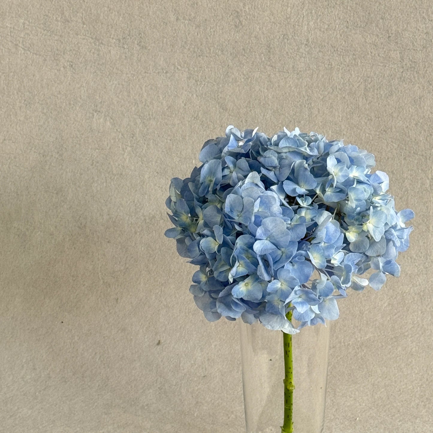 Flower party