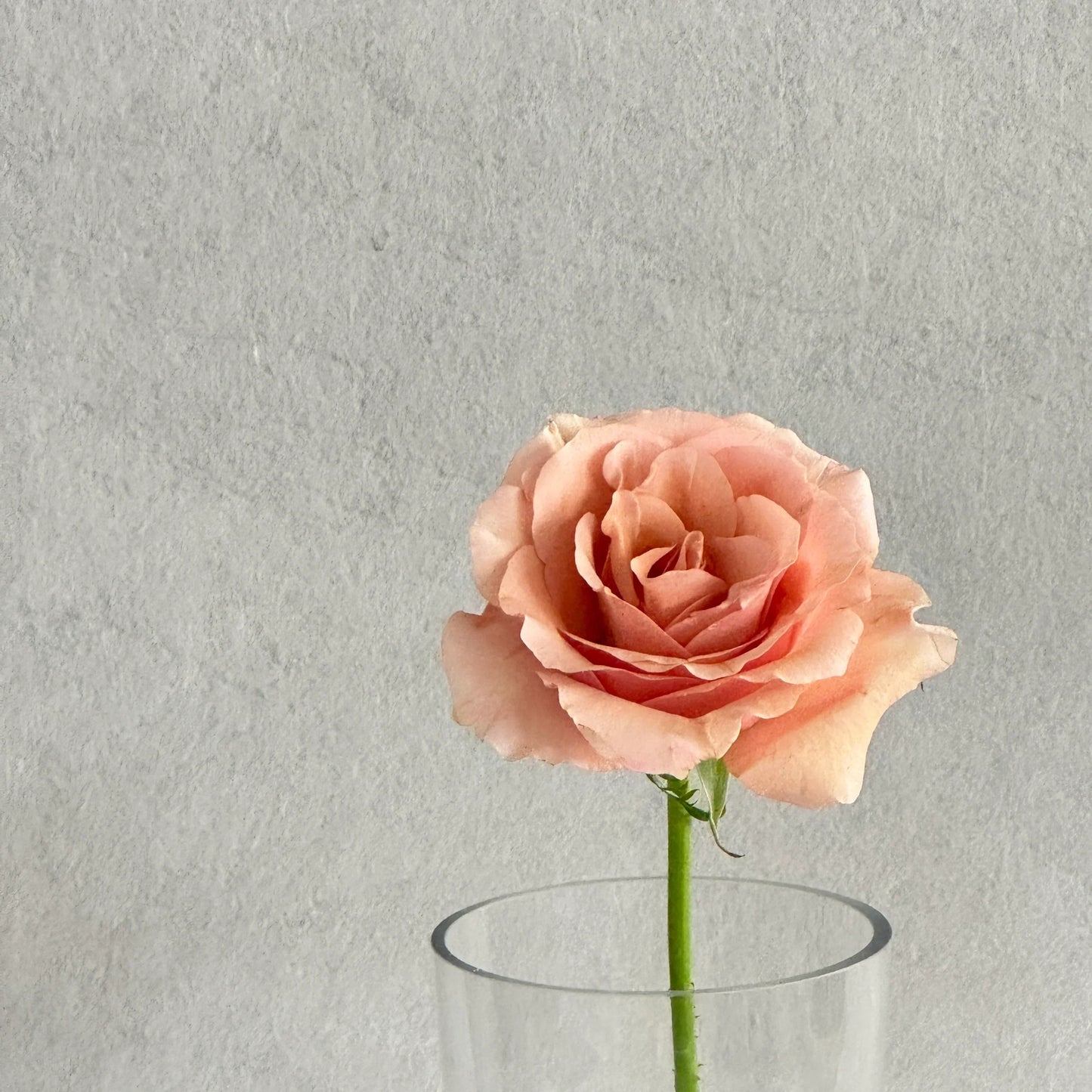 Flower party